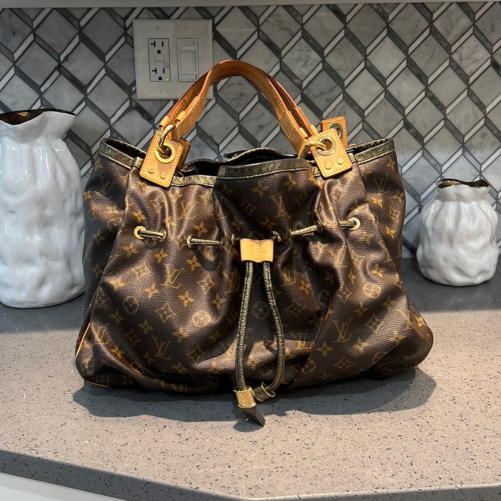 Louis Vuitton purse